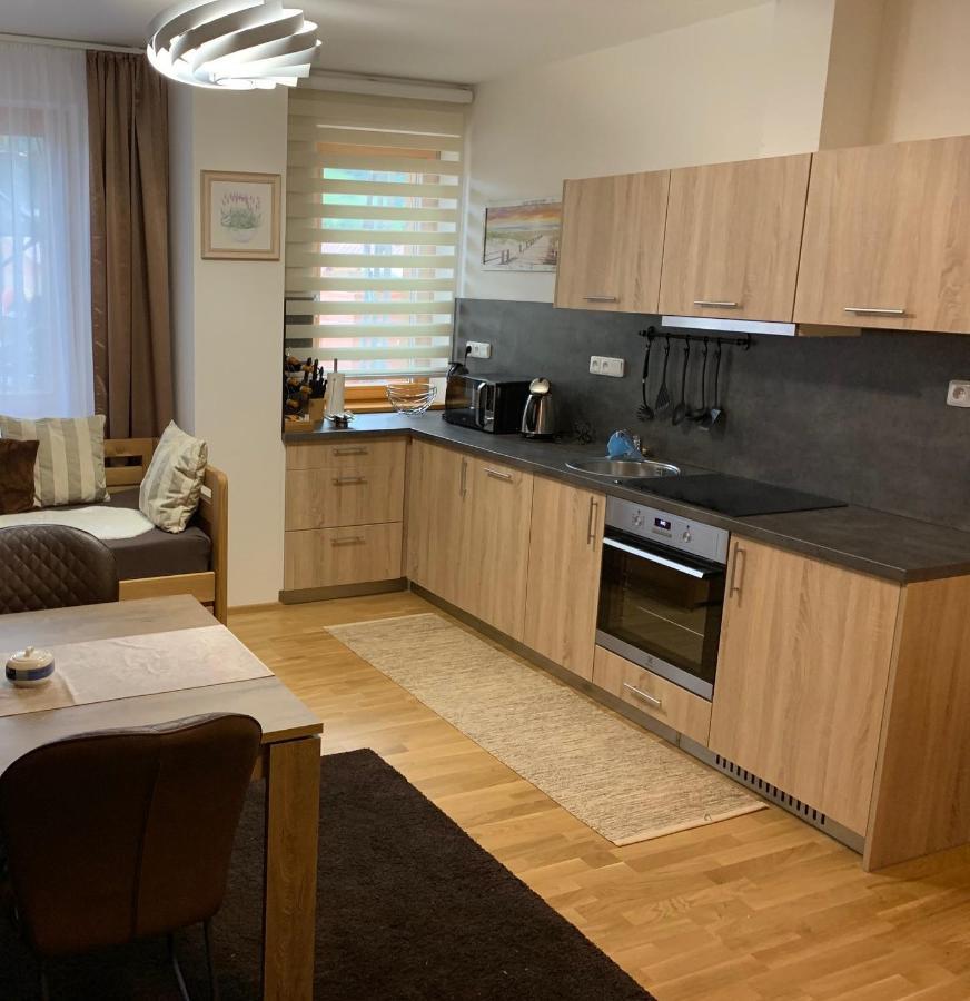 Apartment Rezidence - Javor & Wellness Zelezna Ruda Exterior photo